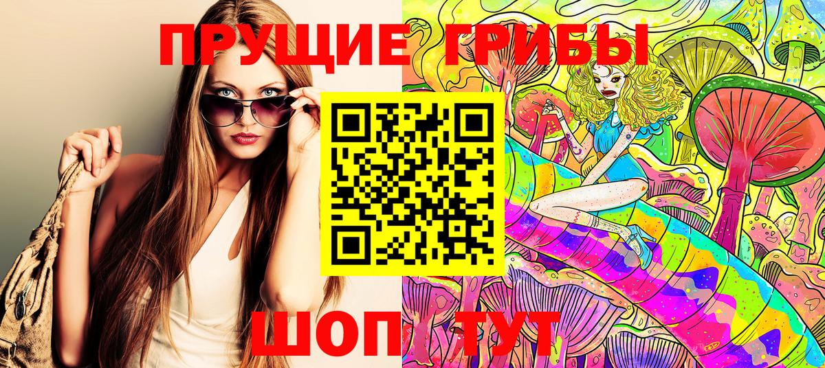 Псилоцибиновые грибы GOLDEN TEACHER Ливны